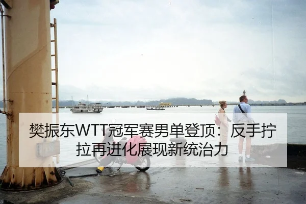 樊振东WTT冠军赛男单登顶：反手拧拉再进化展现新统治力