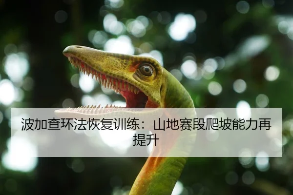 波加查环法恢复训练：山地赛段爬坡能力再提升
